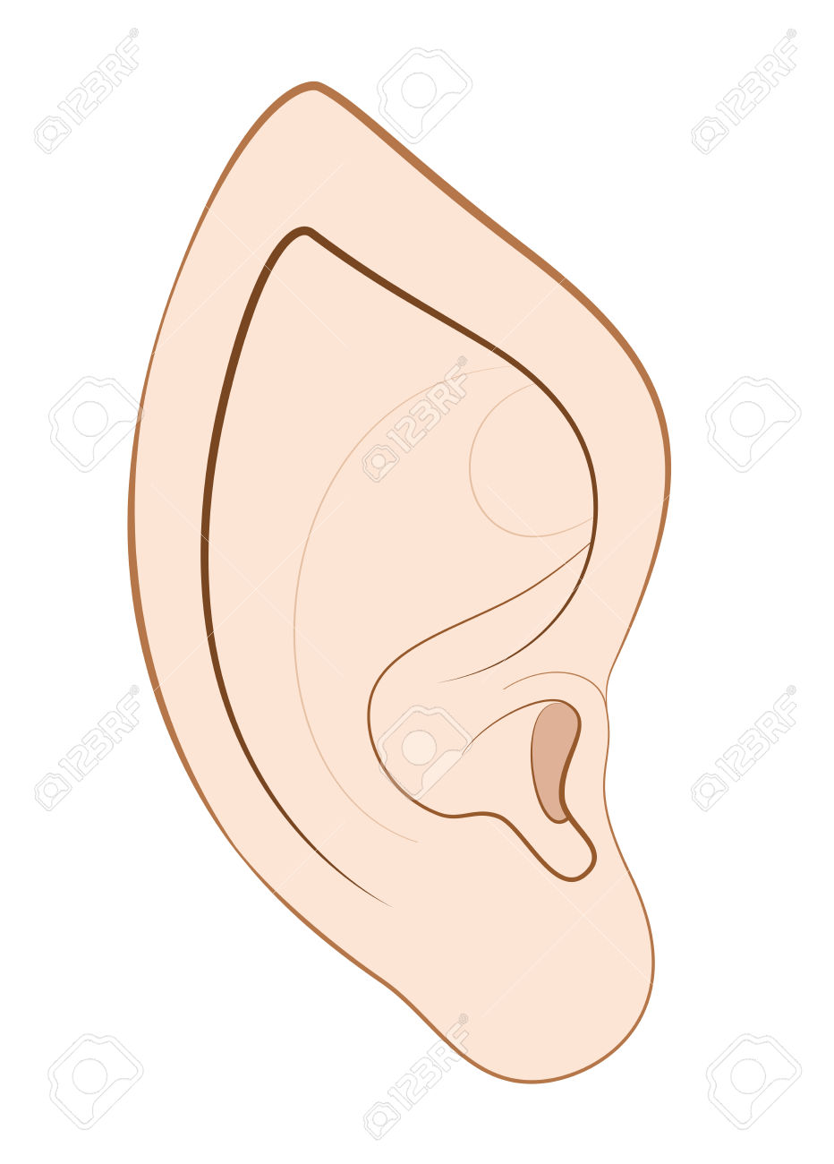 Pointed Ear Of An Elf, Fairy, Vampire Or Other Fantasy Creature.