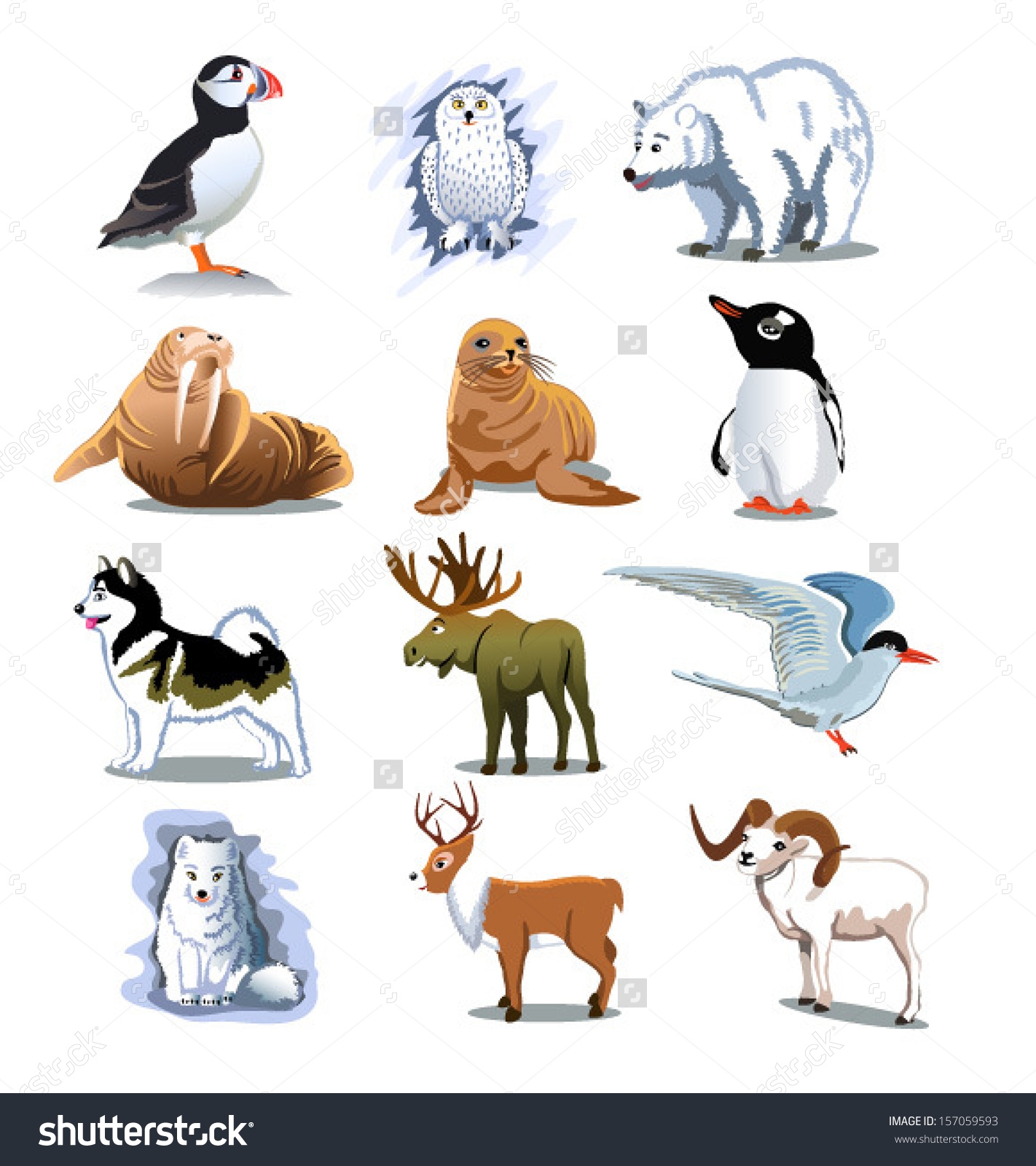 Arctic Animals Clipart.
