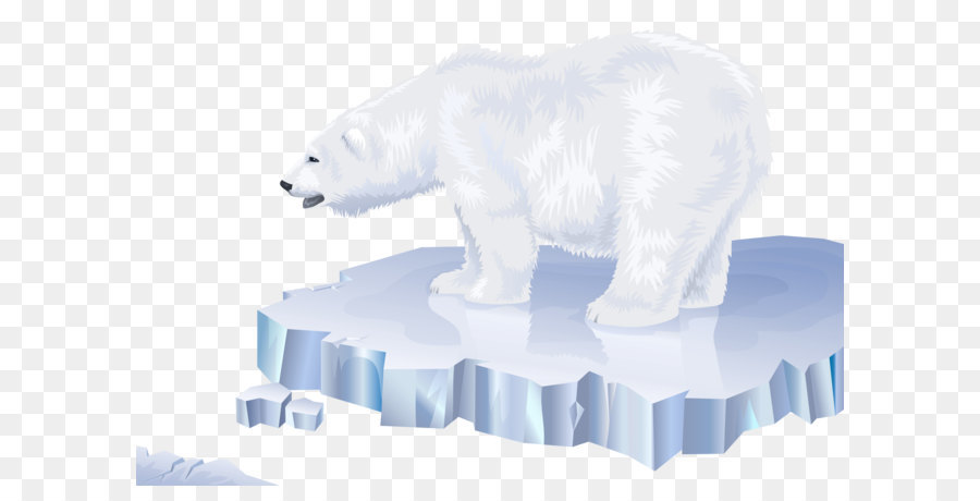 Polar Bear Cartoon.