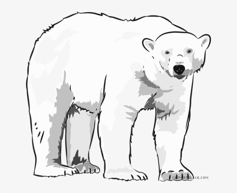 Polar Bear Clipart.