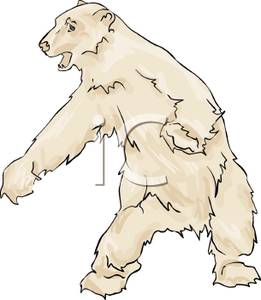 A Polar Bear Standing on Its Hind Legs Clipart Image.