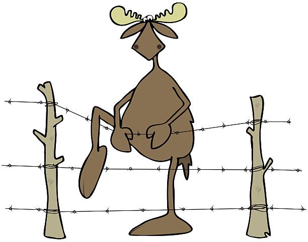 Cartoon Of Pole Fence Clip Art, Vector Images & Illustrations.