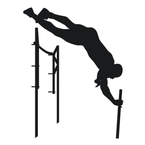 Pole vault clipart 20 free Cliparts | Download images on ...