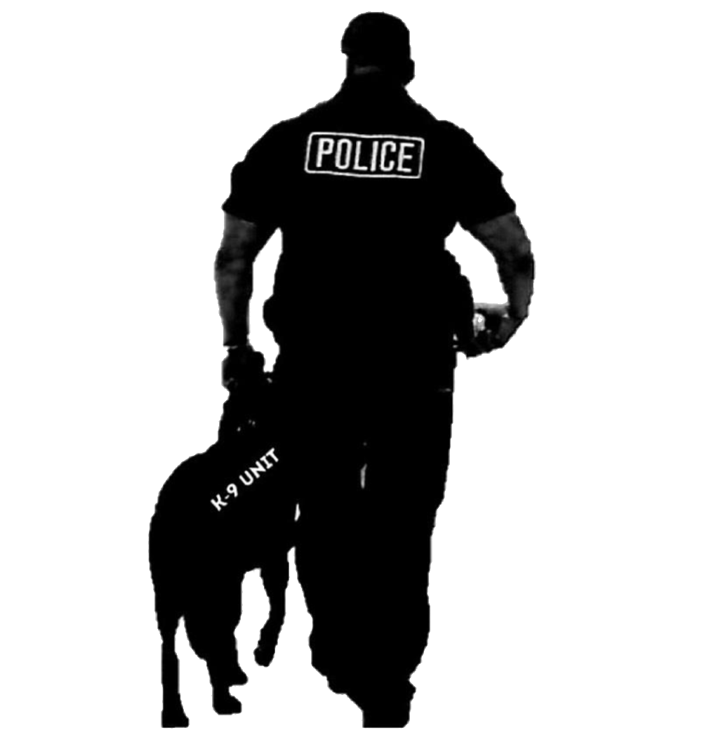 Police dog German Shepherd Puppy Police officer.
