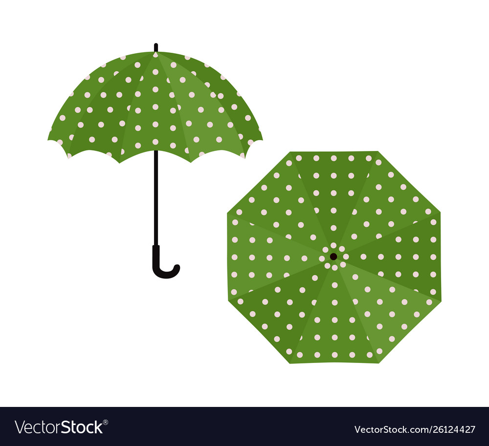 Umbrella green with polka dot on white background.
