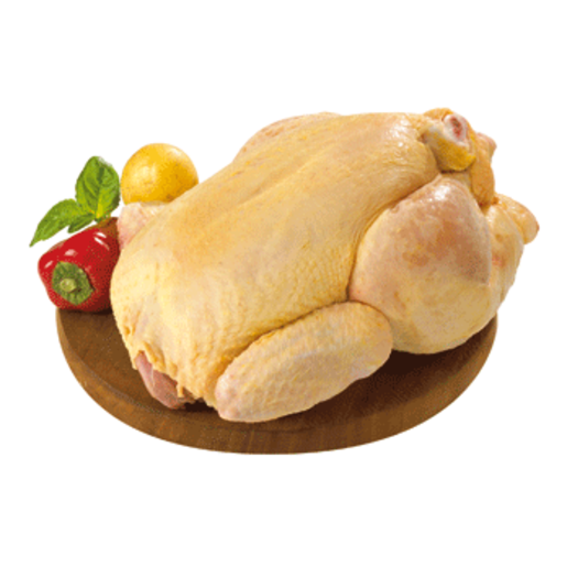Pollo png » PNG Image.