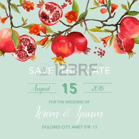 236 Pomegranate Blossom Stock Vector Illustration And Royalty Free.