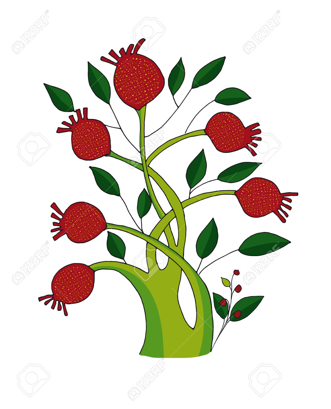 236 Pomegranate Blossom Stock Vector Illustration And Royalty Free.