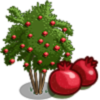 Image result for pomegranate tree clipart.