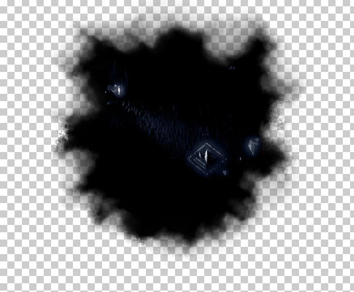 Pomeranian Information Snout Whiskers Black And White PNG.