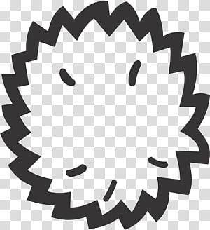Pompom PNG clipart images free download.