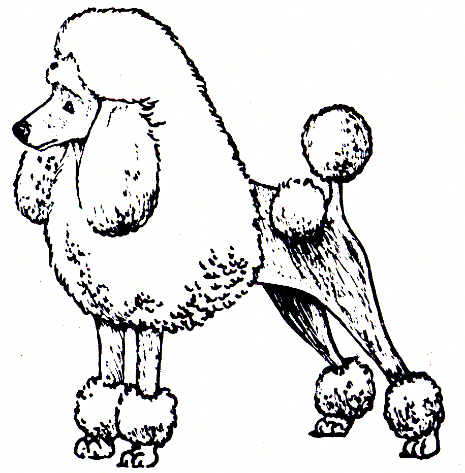 Free Poodle Clipart Black And White, Download Free Clip Art.