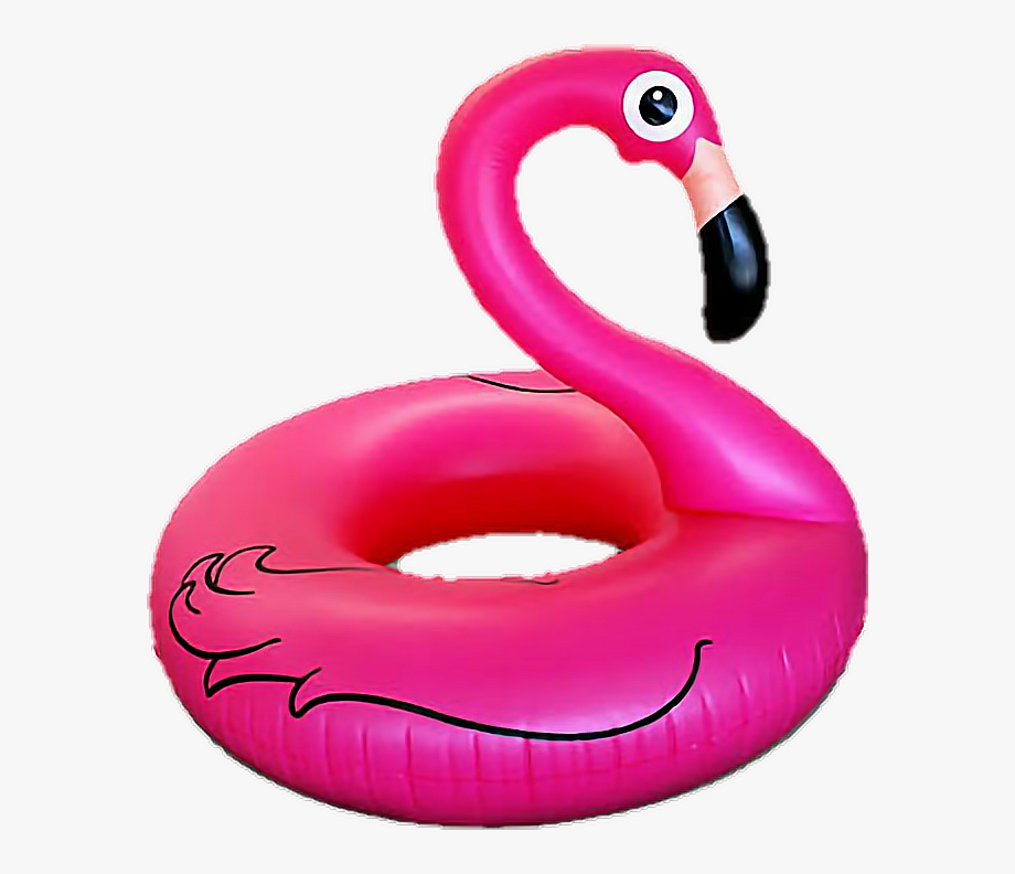 Flamingo Inflatable Pool Summer.
