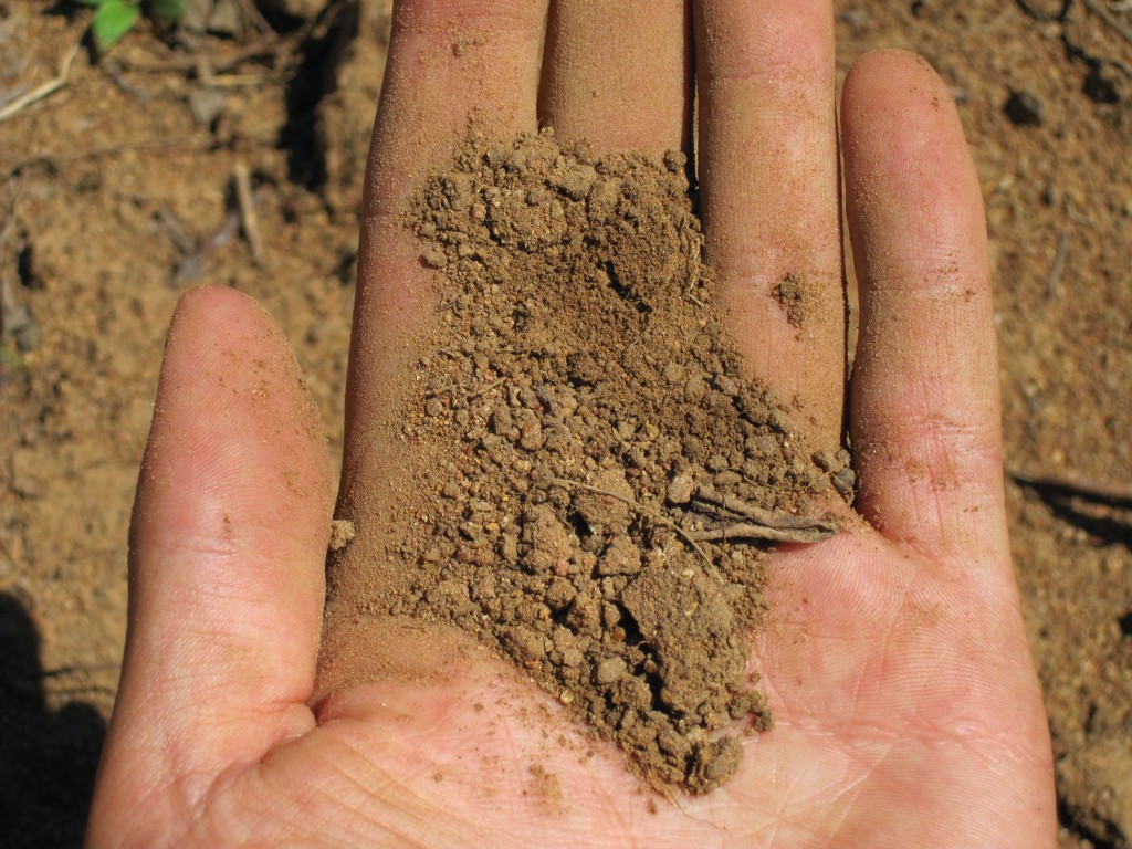 Средний грунт. Суглинистая почва. Плохая почва. Бедная почва. Плохой грунт.