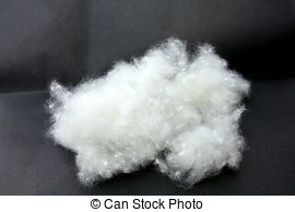 Stock Images of poplar fluff csp2581955.