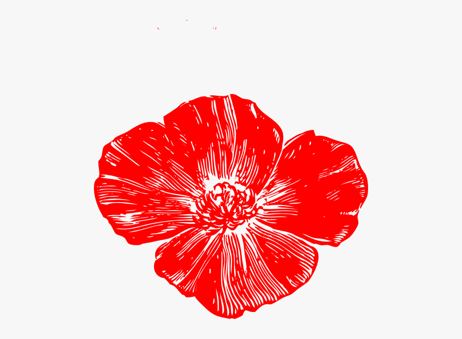 Red Poppy Flower Clipart.