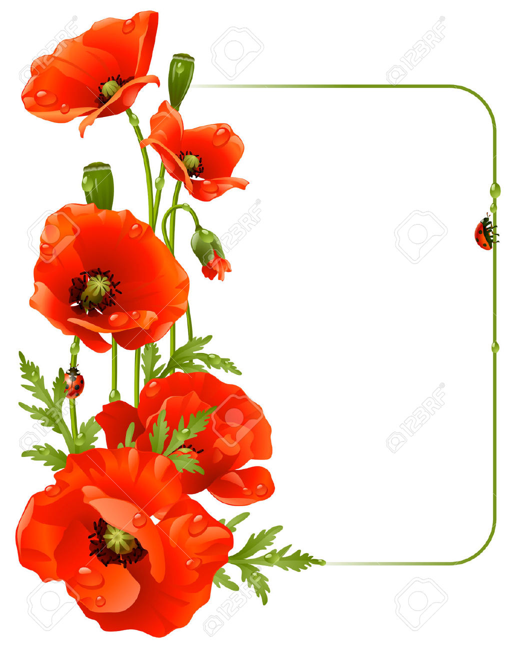 Poppy Border Clipart Free 10 Free Cliparts Download Images On Clipground 2024 