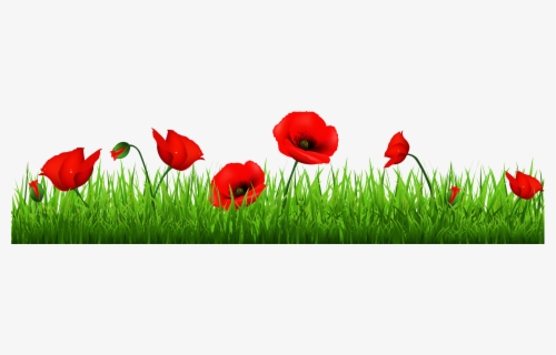 Free Poppy Clip Art with No Background.