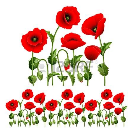 Download Poppy clipart 20 free Cliparts | Download images on ...