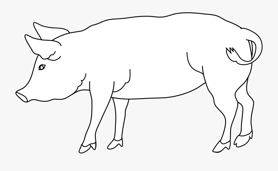 Transparent Pig Clipart.