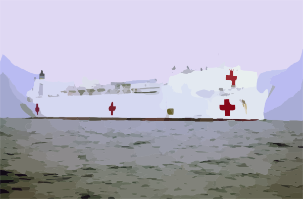 Military Sealift Command Hospital Ship Usns Comfort (t.