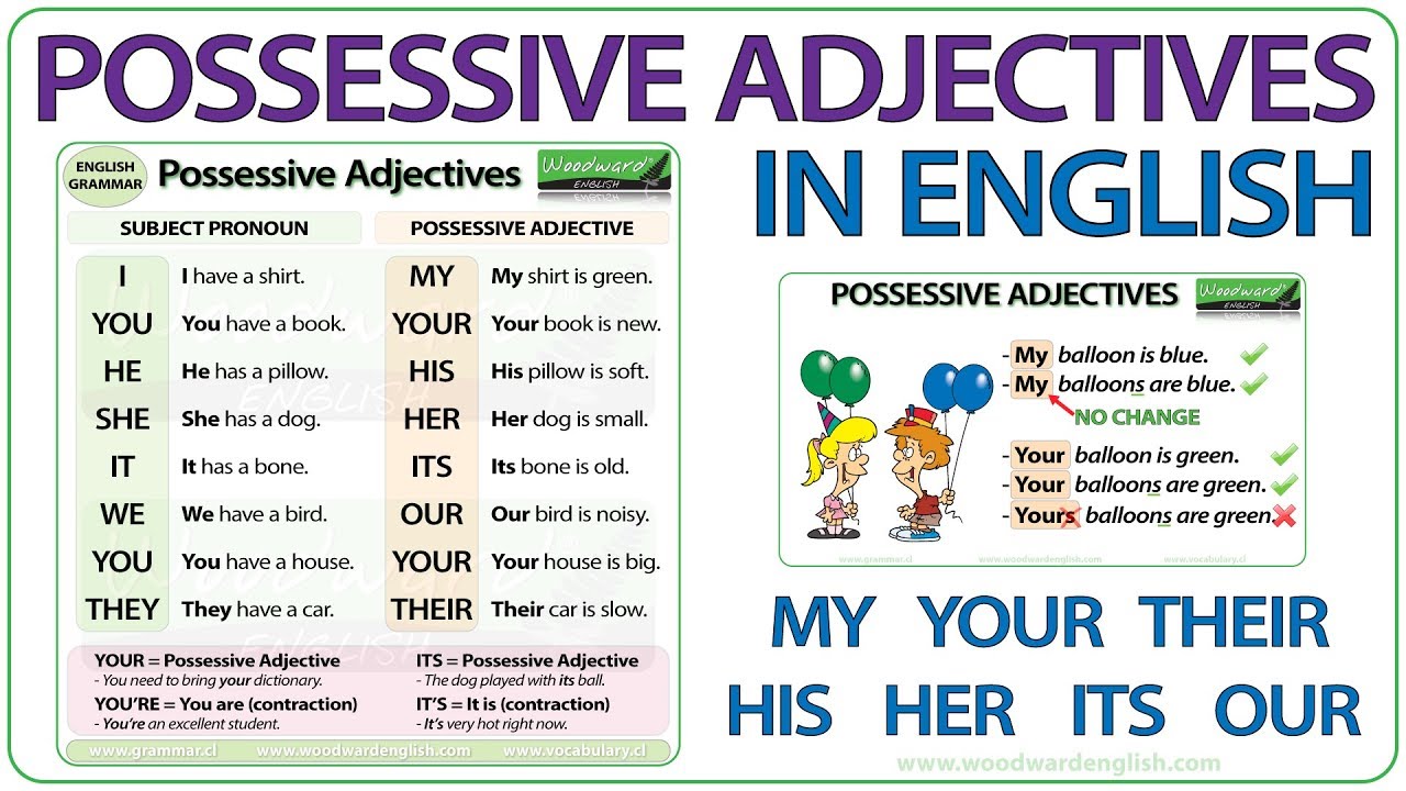Possessive Adjectives in English Grammar.