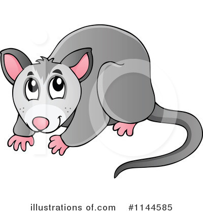 Possum Clipart.