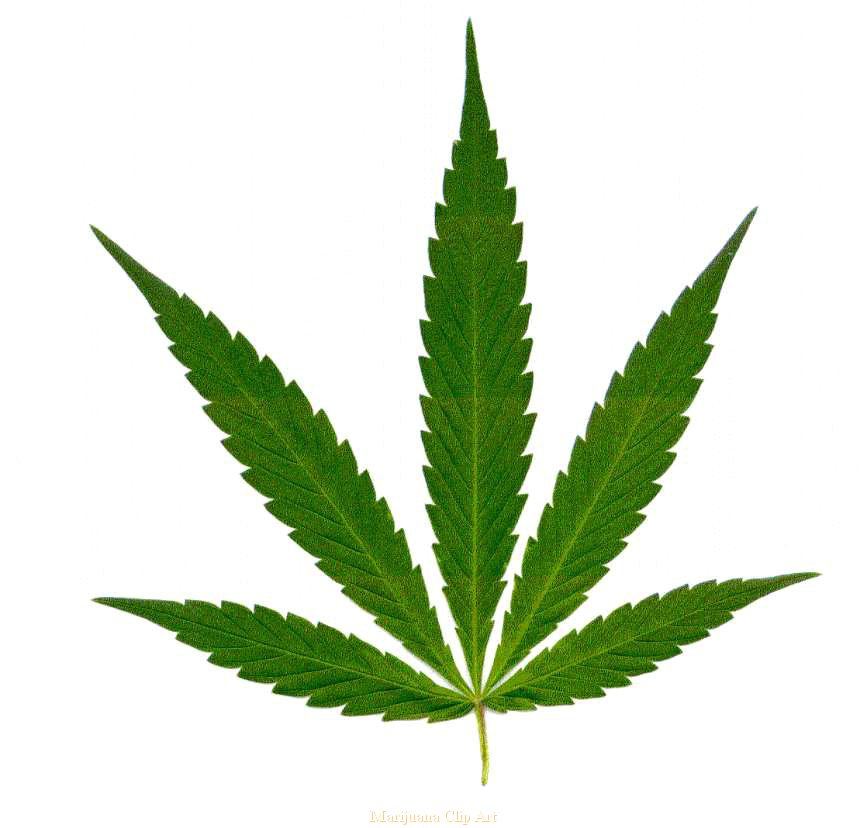 Free Weed Cliparts, Download Free Clip Art, Free Clip Art on.