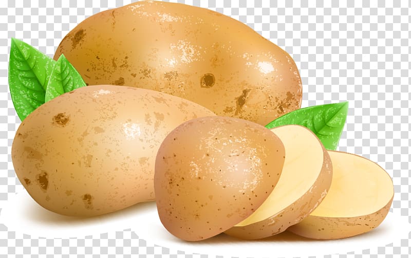 Sliced potato, Potato Euclidean , potato transparent.