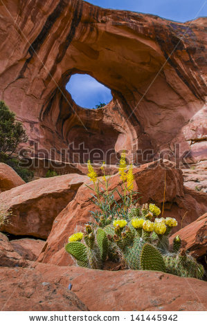 Pothole Arch Stock Photos, Royalty.