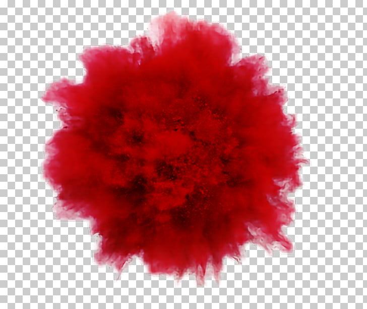 Rouge Explosion Powder Photography Photographer, color.