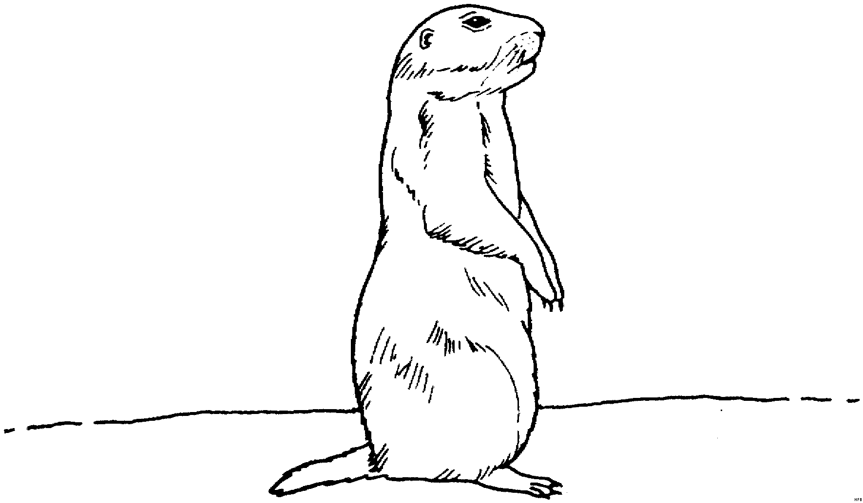 Watch more like Prairie Dog Drawing Clip Art.