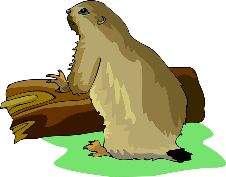 Free Prairie Dog Clipart.