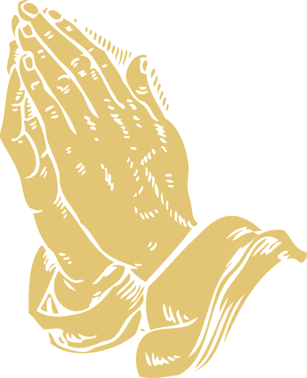 Folded Hands Praying Pray PNG.