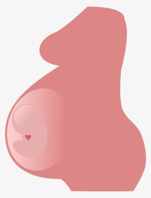 Pregnant Belly PNG & Download Transparent Pregnant Belly PNG.