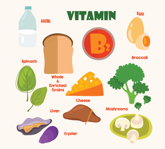 Vitamin B Complex During Pregnancy: Why They Are Important.