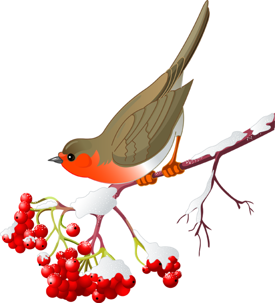Pretty Bird and Winter Berries.