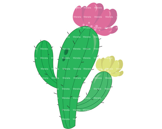 Watch more like Prickly Pear Cactus Flower Clip Art.