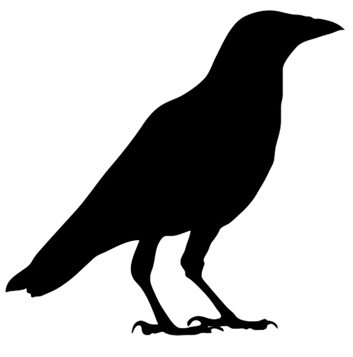 Crow clipart birds and clip art photo crowclipart.