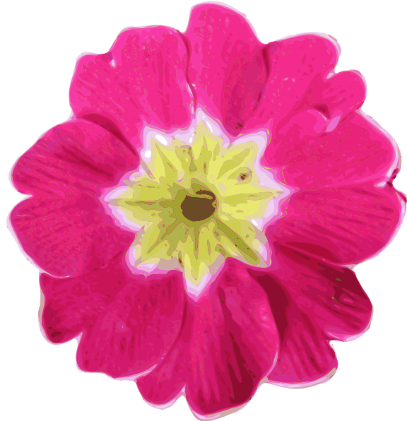 Purple Primula Clip Art at Clker.com.