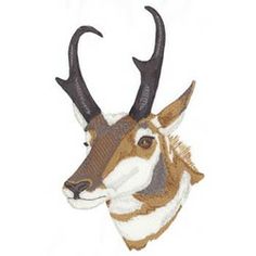 Pronghorn Antelope Clipart.
