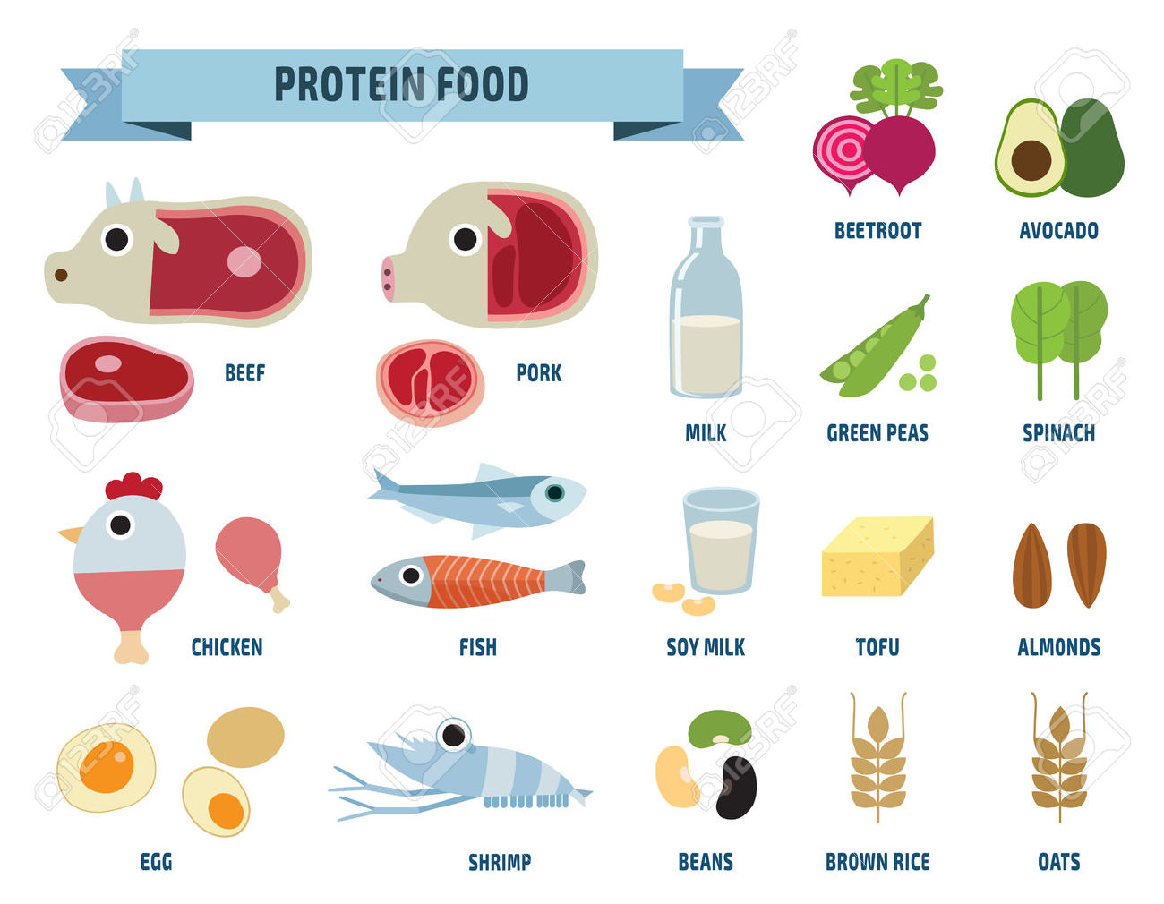 27,905 Protein Cliparts, Stock Vector And Royalty Free Protein.