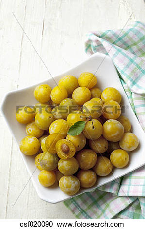 Stock Photography of Mirabelles (Prunus domestica subsp. syriaca.