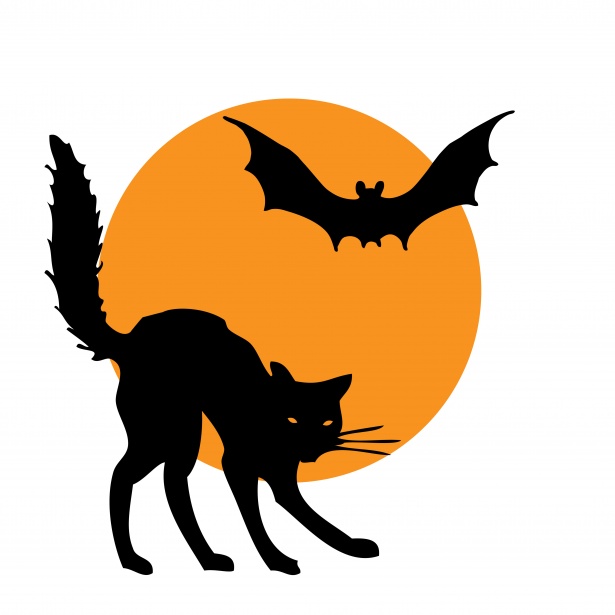 Halloween Clipart Cat Bat Free Stock Photo.
