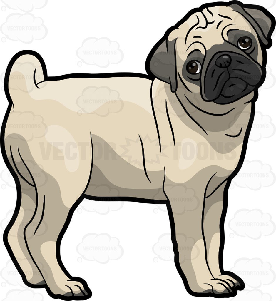 Collection of Pug clipart.