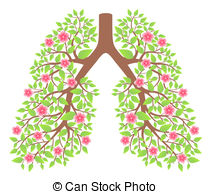 Pulmonary Illustrations and Clip Art. 3,265 Pulmonary royalty free.