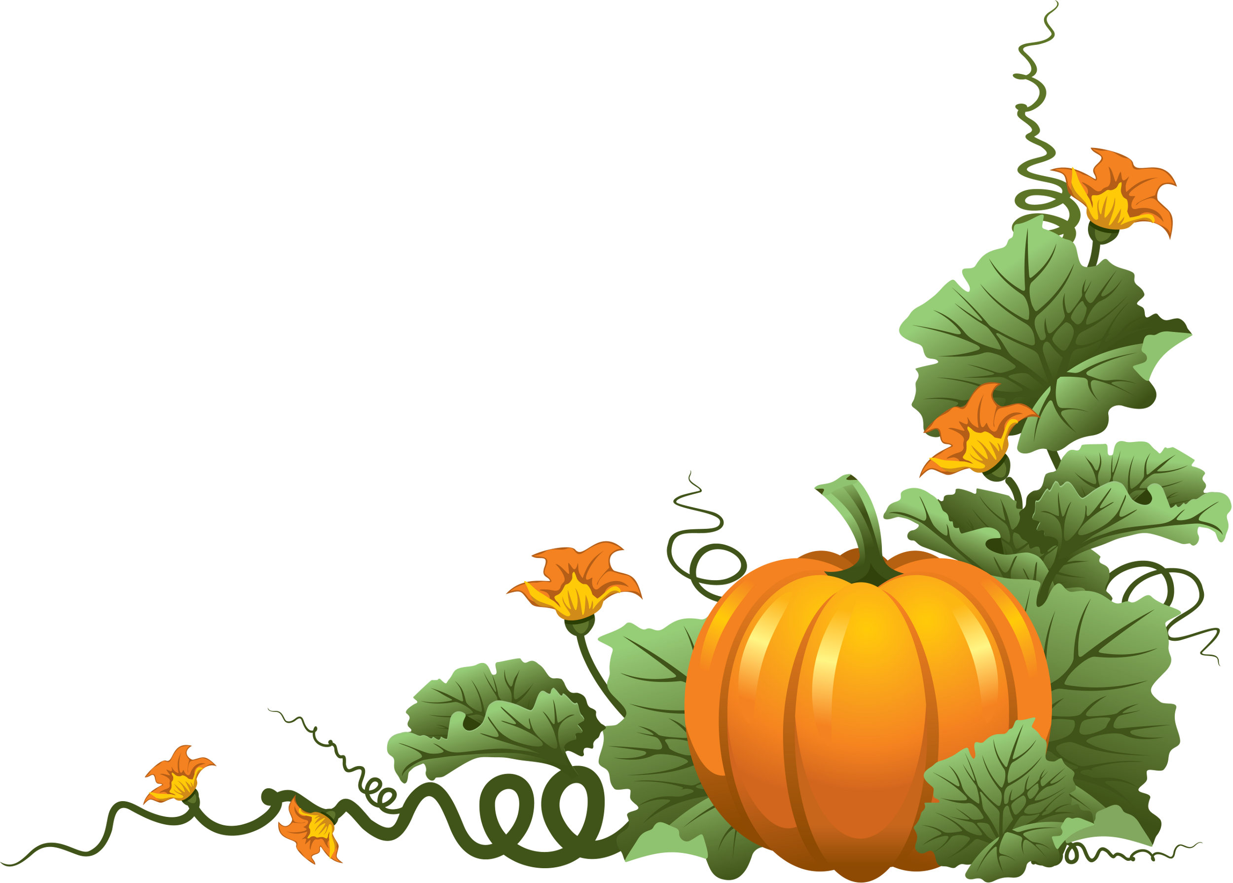pumpkin vine border clip art 10 free Cliparts Download images on