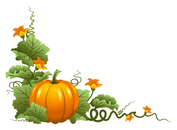 Pumpkin Vine Clipart 20 Free Cliparts Download Images On Clipground 2024 1253