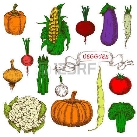 2,785 Sweet Tomato Stock Vector Illustration And Royalty Free.