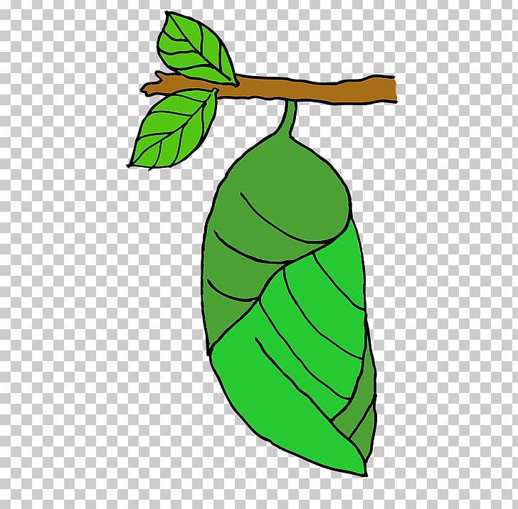 pupa png 10 free Cliparts | Download images on Clipground 2024